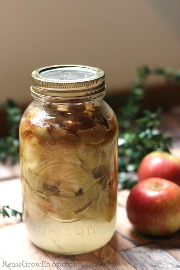 DIY Homemade Apple Cider Vinegar