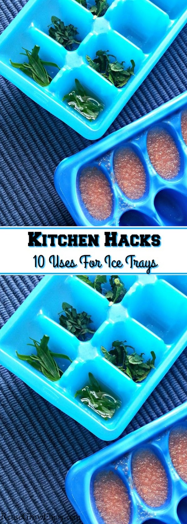 Kitchen Hacks: 10 Uses For Ice Trays - Reuse Grow Enjoy