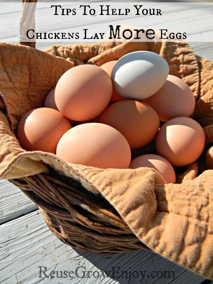 Basket lined with tan cloth full of different color eggs sitting on wood boards.