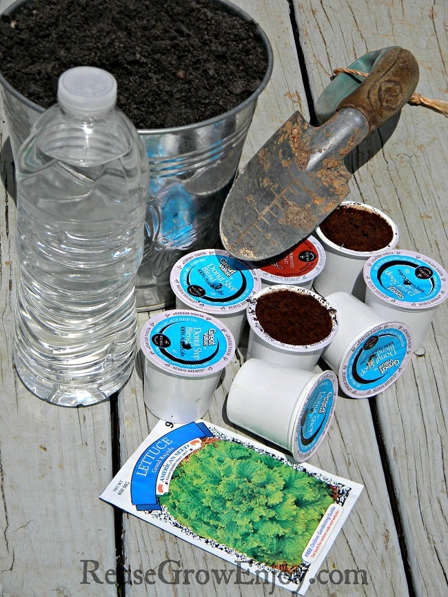 kids planting seeds in cups