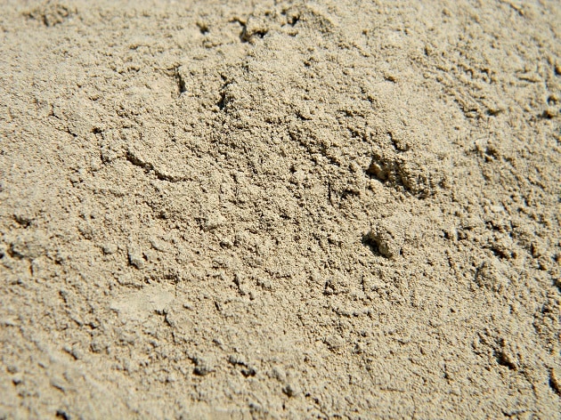 Close up of diatomaceous earth