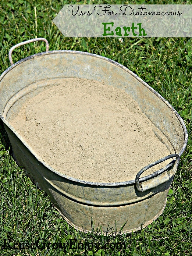 Small pail on grass that is full of diatomaceous earth with a text overlay that says diatomaceous earth uses
