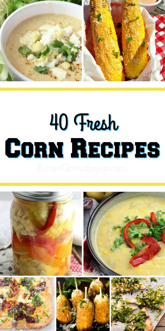 Grow your own corn? Or maybe you have been getting the fresh sweet summer gold from the farmers market? I rounded up 40 wonderful corn recipes to try!