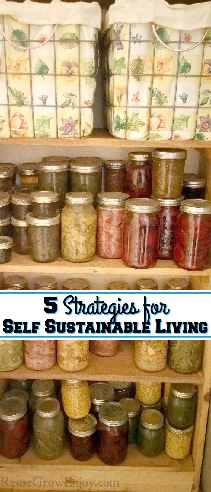 Wood shelves filled with home canned foods with a text overlay that says "5 Strategies For Self Sustainable Living". 