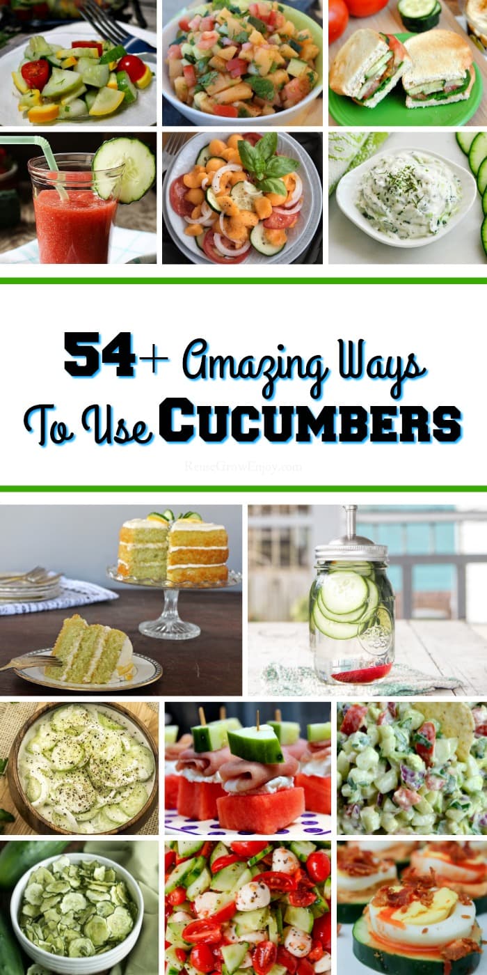 With this time of year comes a endless supply of fresh cucumbers. If you are looking for new ideas on how to use them, check out these 54+ cucumber recipes!