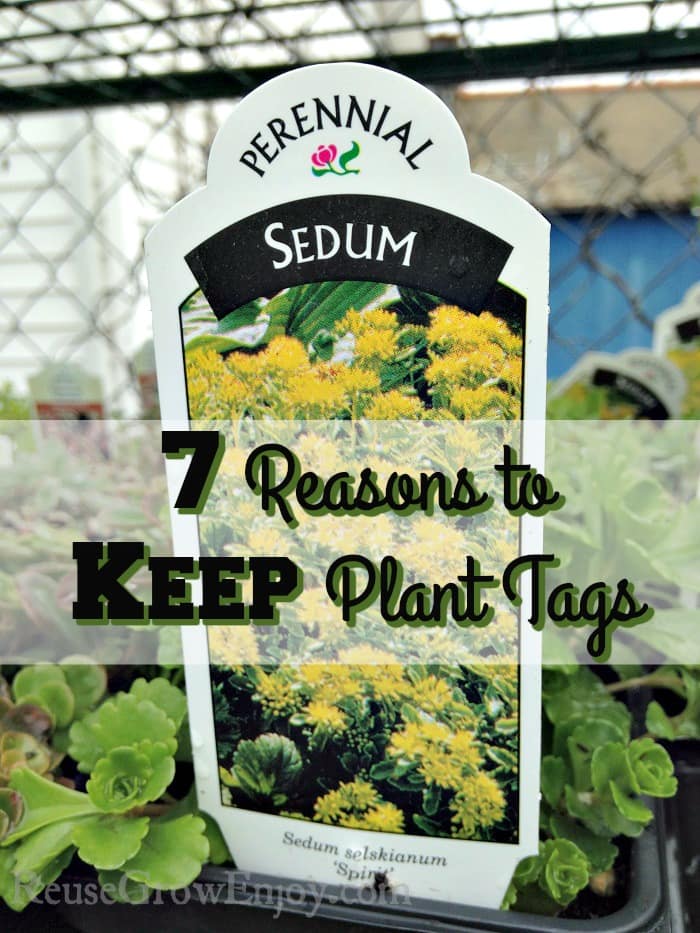 7 Reasons to Keep Plant Tags