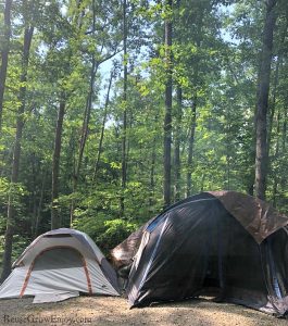 Two tents set up in front of woods