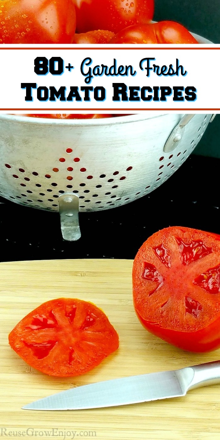 Have tons of fresh garden tomatoes? I am going to share with you over 80 amazing garden fresh tomato recipes as well as some tomato facts and growing tips!