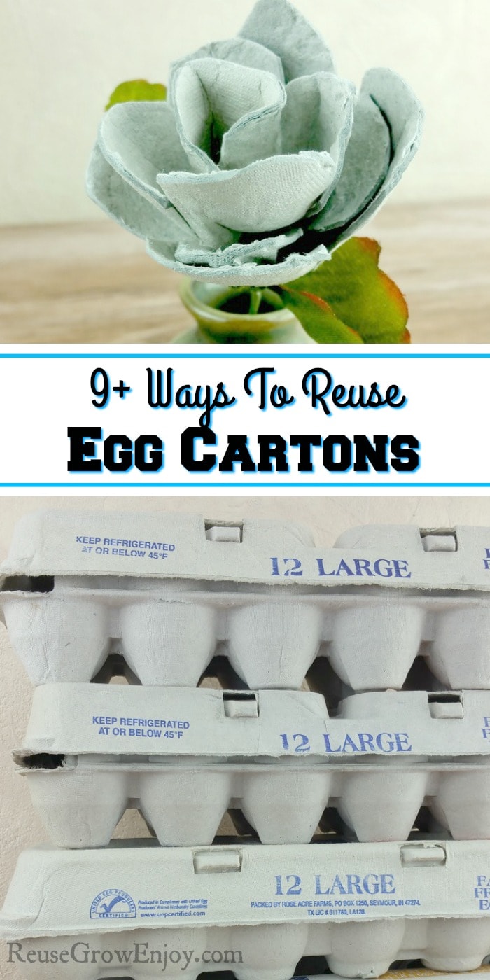 9 Uses For Egg Cartons