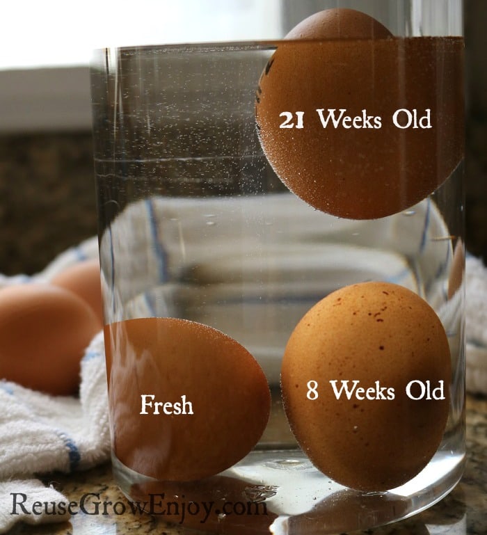 age-of-eggs