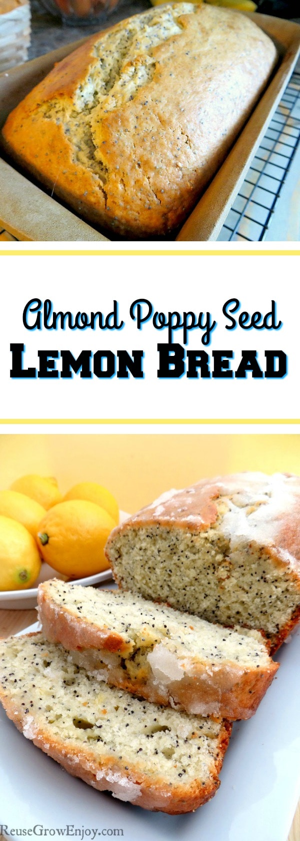If you like lemon, be sure to check out this amazing Almond Poppy Seed Lemon Bread Recipe! It is so good, you will be coming back for more!