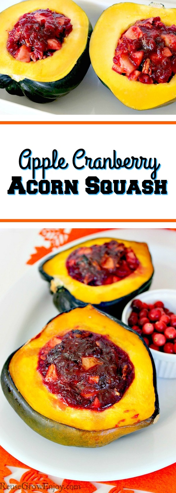 With fall comes all of the lovely flavors. Check out this Apple Cranberry Acorn Squash Recipe if you are up to trying something new.