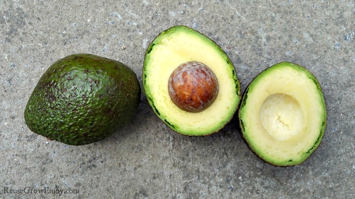 Are you someone that loves avocados? Have you ever wondered if you could grow avocados? You can! I am going to share some tips on how to grow your own!