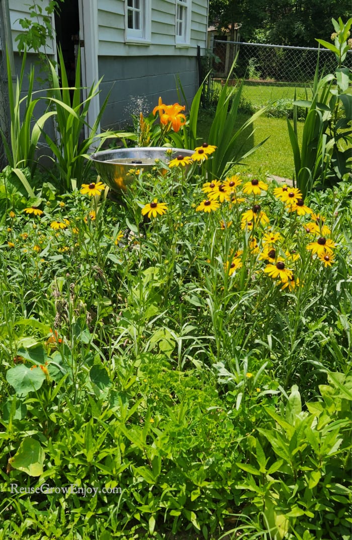 Backyard Water Feature in center of flower garden with building in background