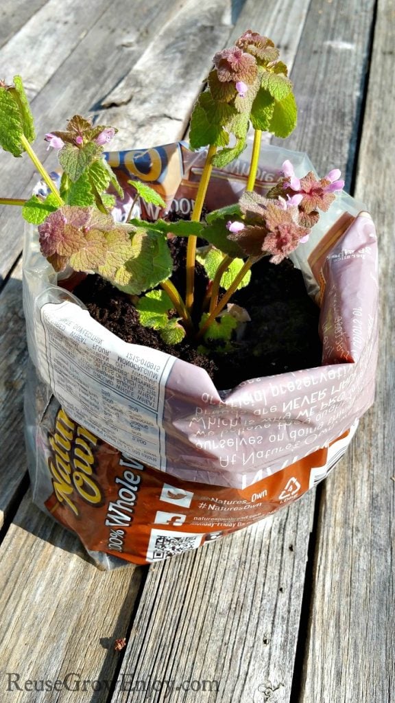 10+ Ways To Reuse A Bread Bag Reuse Grow Enjoy