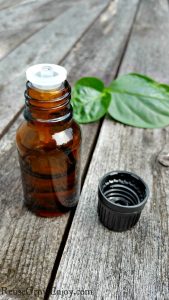 Wanting to learn a little about Basil Essential Oil? I will teach you what Basil Essential Oil is and what it is good for!