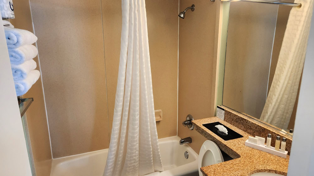 View of the bathroom with shower and toilet