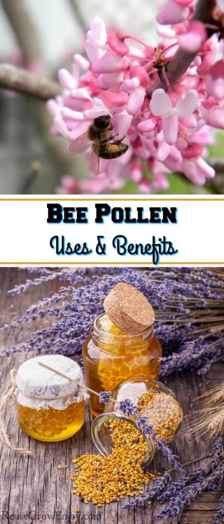bee pollen benefits myth