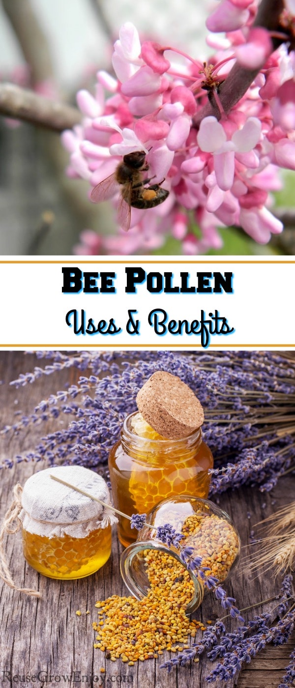 bee pollen uses