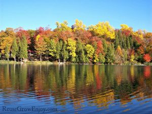 Fall Camping Tips - Reuse Grow Enjoy