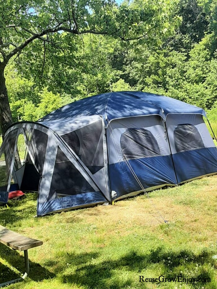 Blue family size tent on green grass under a tree