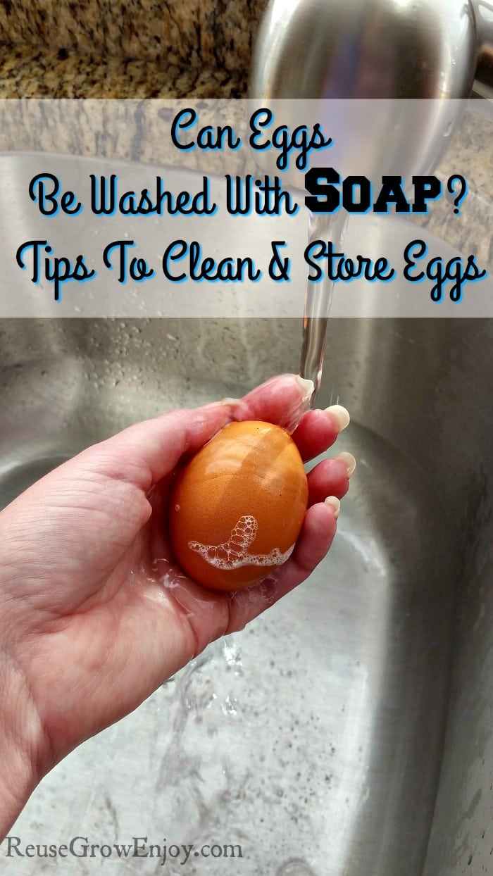 eggs washing in sink with little egg scrubber