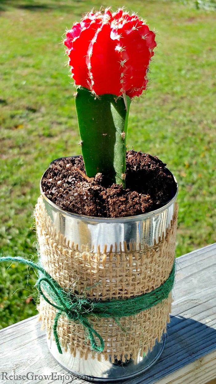 Need to add a touch of country to your house? Check out this super easy and cute country tin can planter. It only takes just minutes to make!