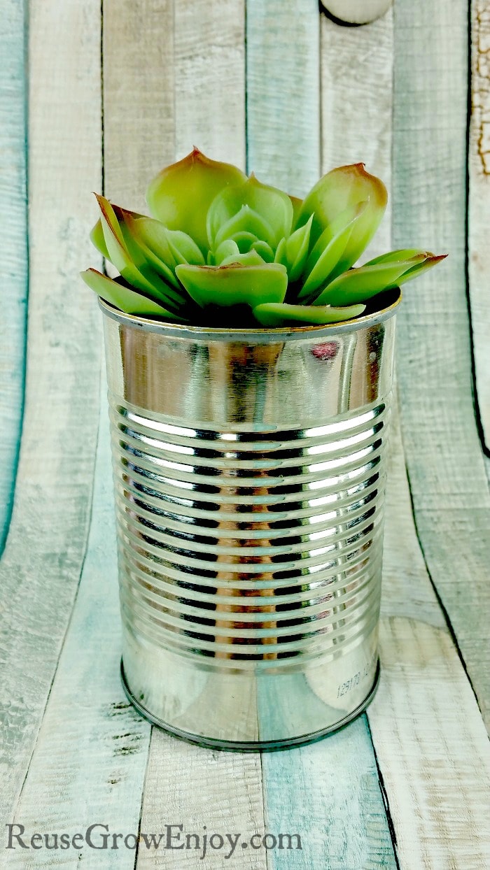 11+ Ways To Reuse A Tin Can - Reuse Grow Enjoy