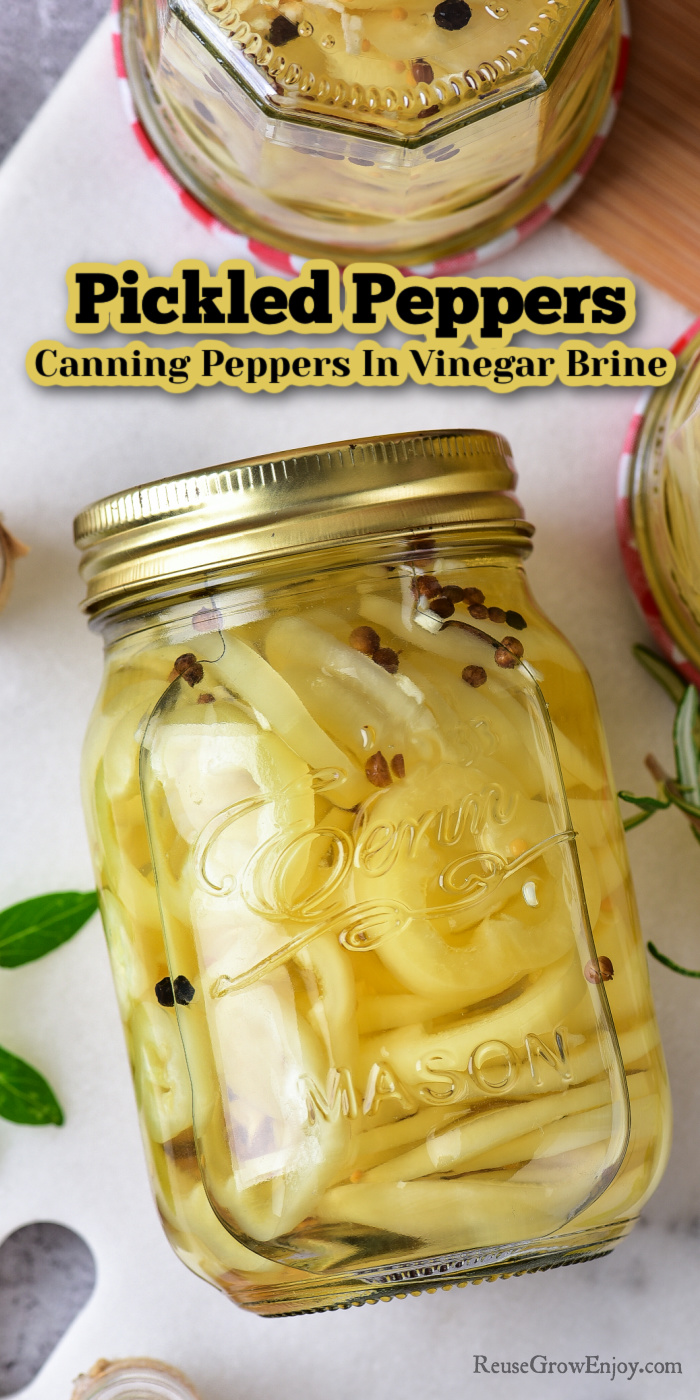 Pint jar on its side. Full of banana pepper slices in a pickled vinegar brine. Text overlay at top that says Pickled Peppers Canning Peppers In Vinegar Brine