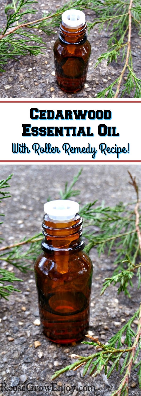 Have you ever used Cedarwood Essential Oil? I am going to share with some of the top uses for it as well as a roller remedy recipe.