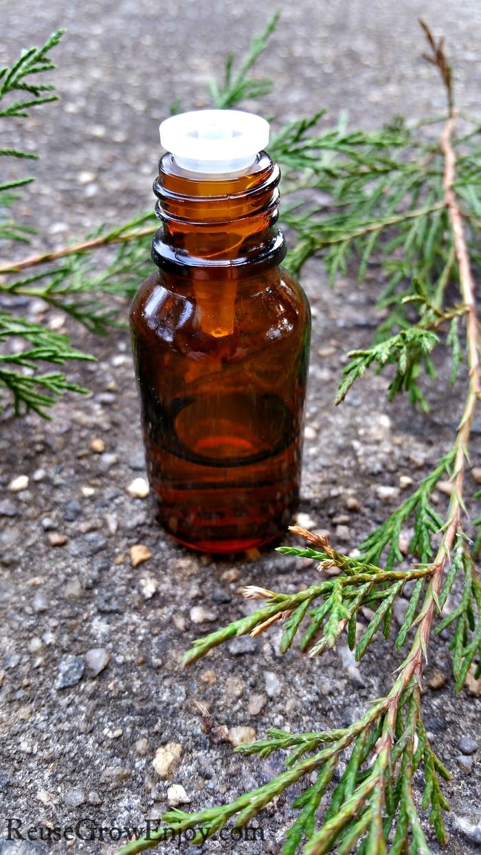 Have you ever used Cedarwood Essential Oil? I am going to share with some of the top uses for it as well as a roller remedy recipe.