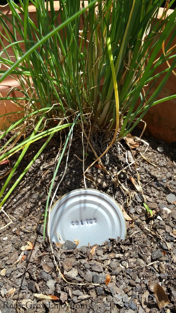 Chives garden marker