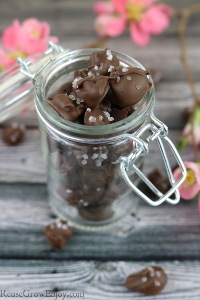 Glass jar filled with chocolate covered coffee beans with pink flowers in background