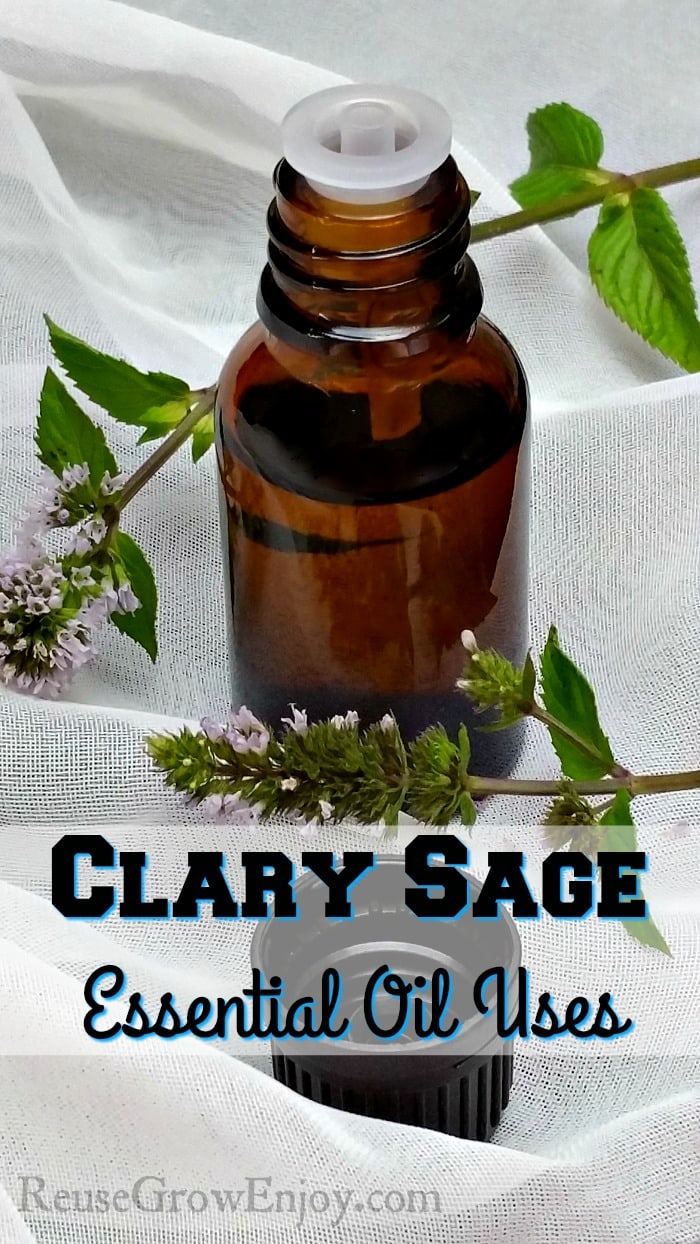 Clary Sage Essential Oil