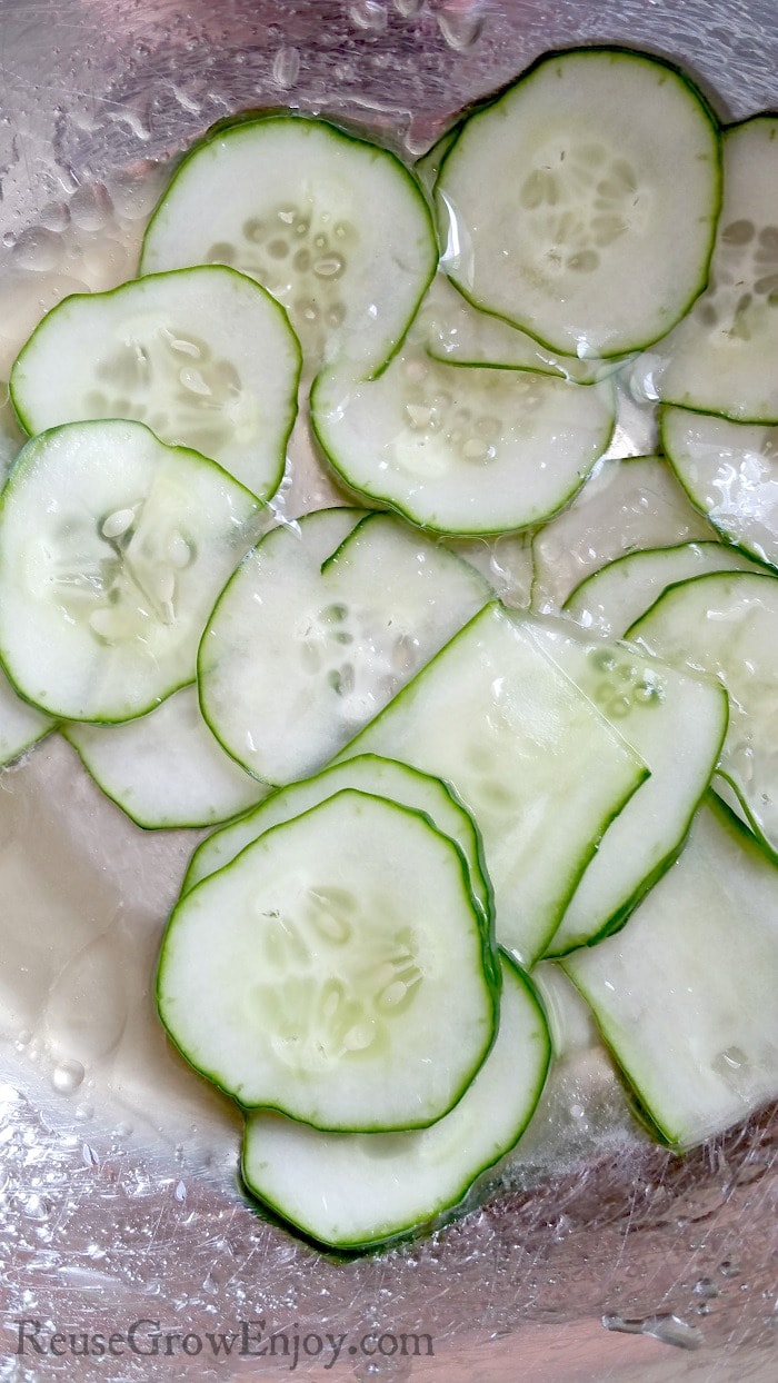 Bowl of cucumber slices coated in oil and vinegar.
