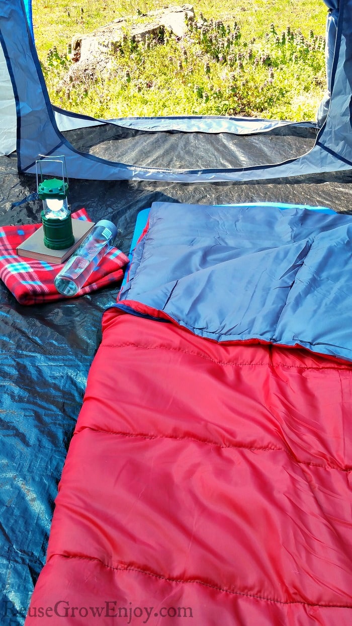 Red sleeping bag on a blue sleeping pad inside of a tent looking out at a stump and purple flowers. Camp light, book, blanket and bottle of water to the left.