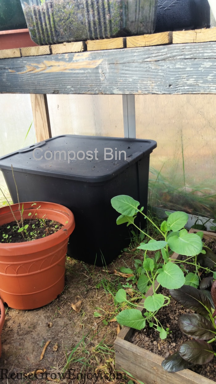 Black plastic tote compost bin in greenhouse under plant bench