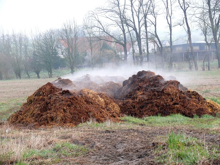 steaming compost pile