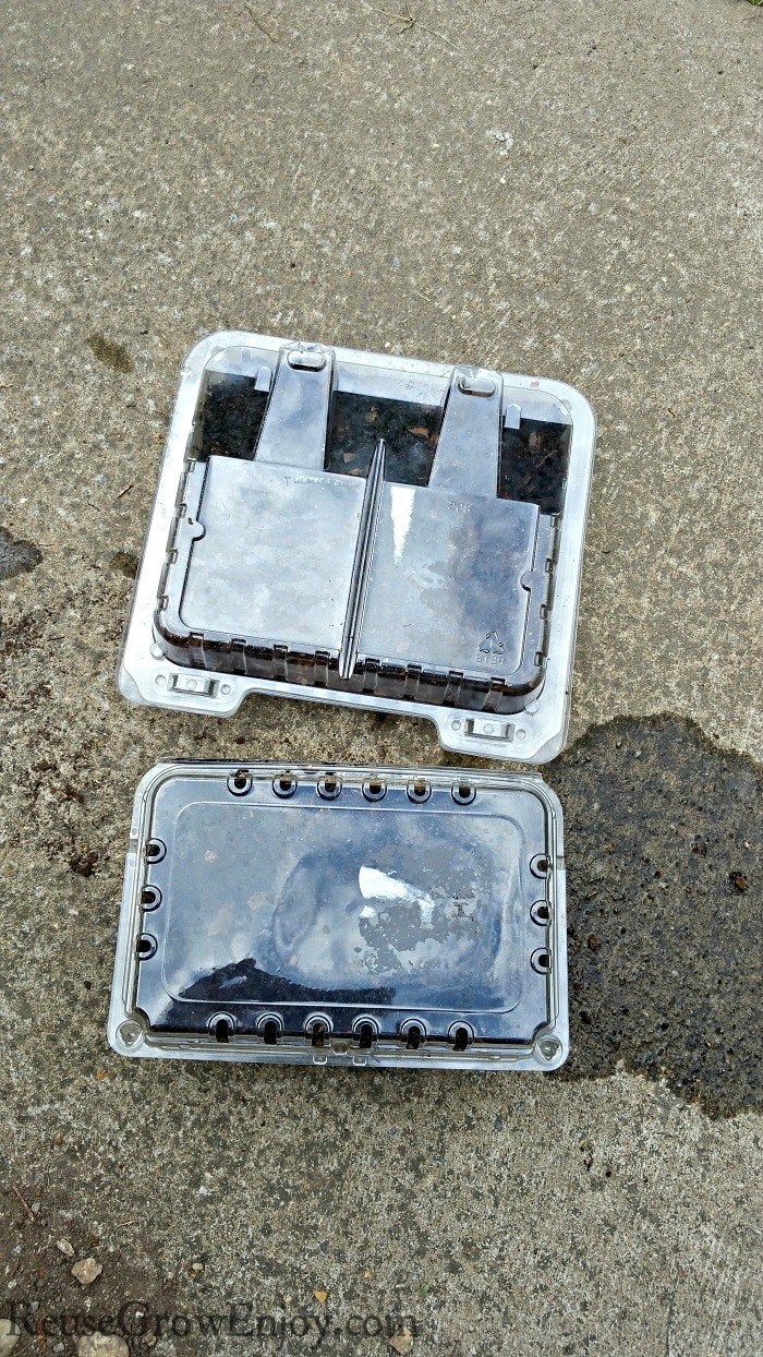 Container lids closed over planted seeds