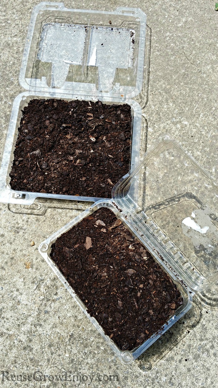 Containers filled with dirt