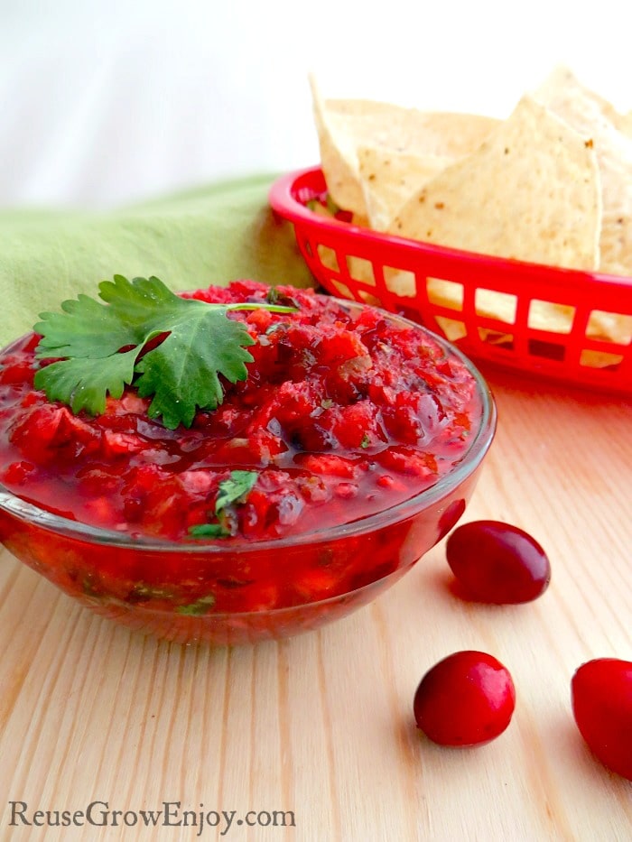 I have a wonderful new fall recipe for you to try. This cranberry salsa recipe is not only tasty, it is super easy to make too!