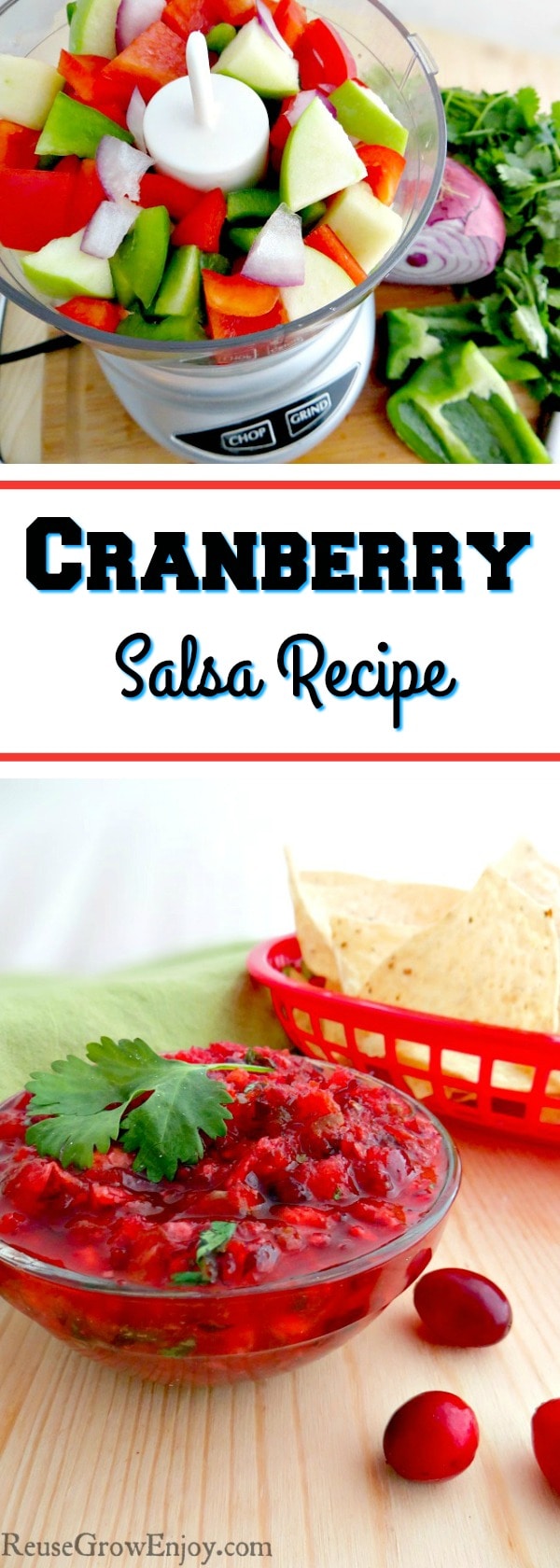 I have a wonderful new fall recipe for you to try. This cranberry salsa recipe is not only tasty, it is super easy to make too!