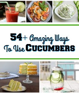 With this time of year comes a endless supply of fresh cucumbers. If you are looking for new ideas on how to use them, check out these 54+ cucumber recipes!