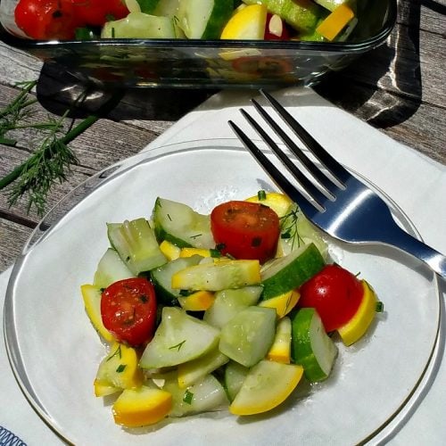 Squash Cucumber Tomato Garden Salad Reuse Grow Enjoy