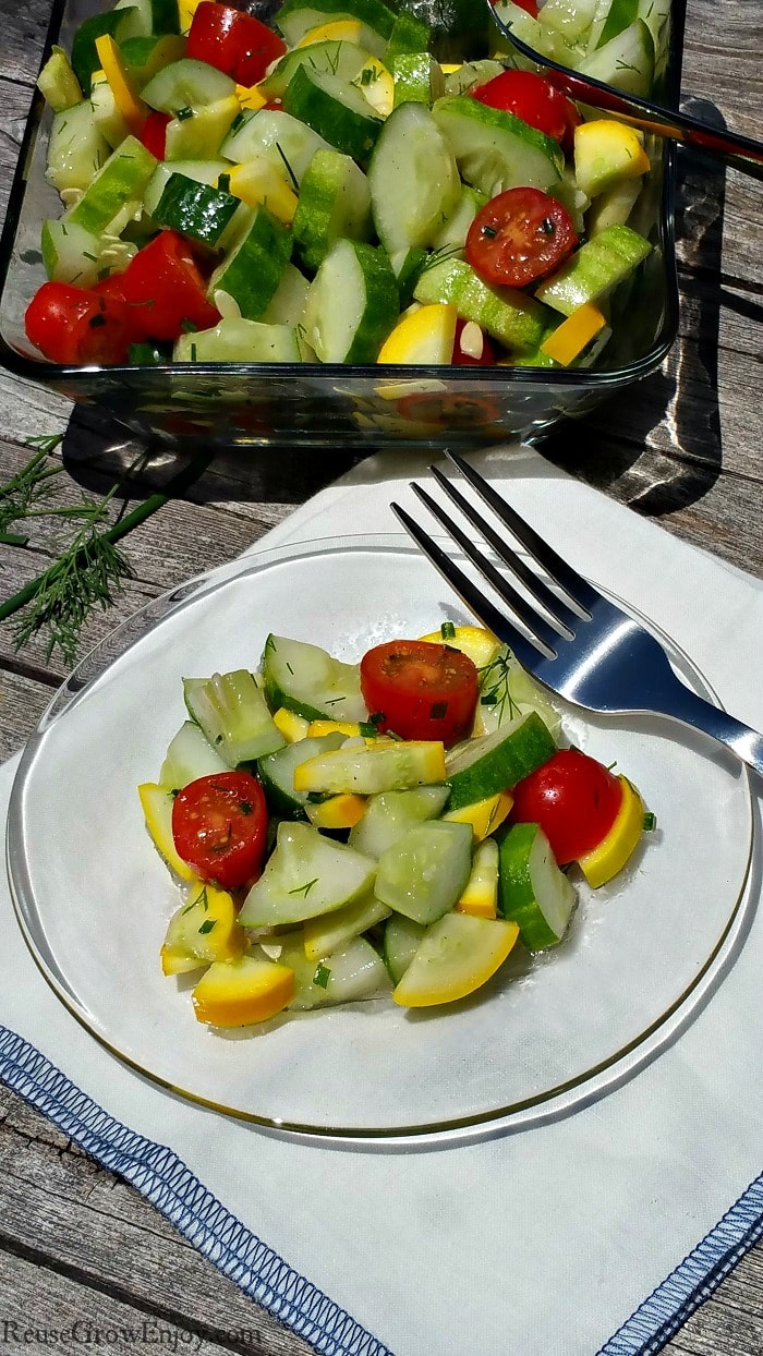 Have some garden fresh produce and looking for a new recipe to try? Check out my recipe for a squash cucumber tomato garden salad. Healthy, easy and tasty!