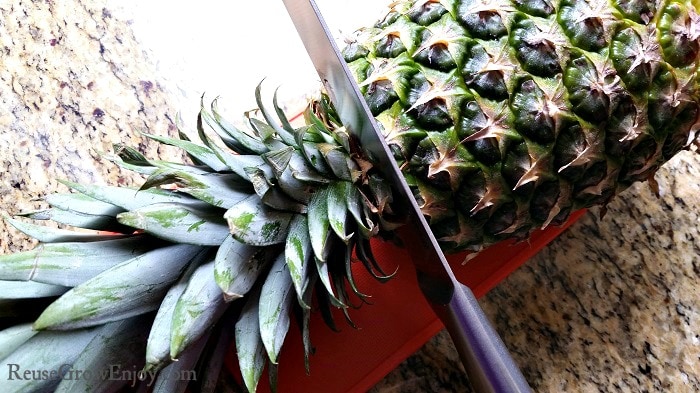Knife cutting the top off of a fresh pineapple.