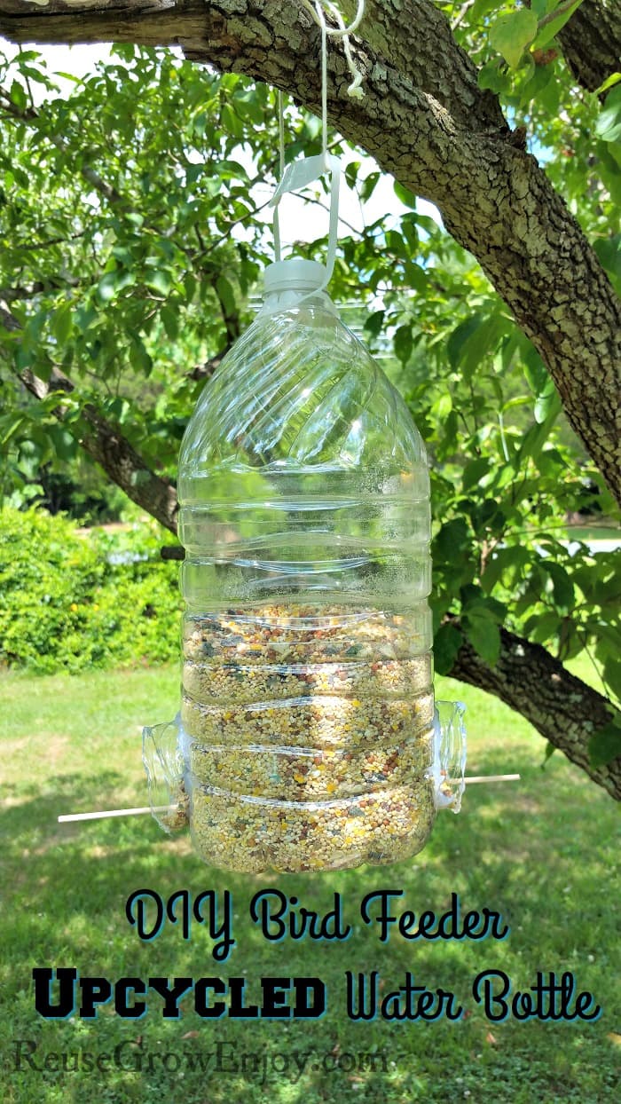 How To Make A Bird Water Feeder From A Water Bottle