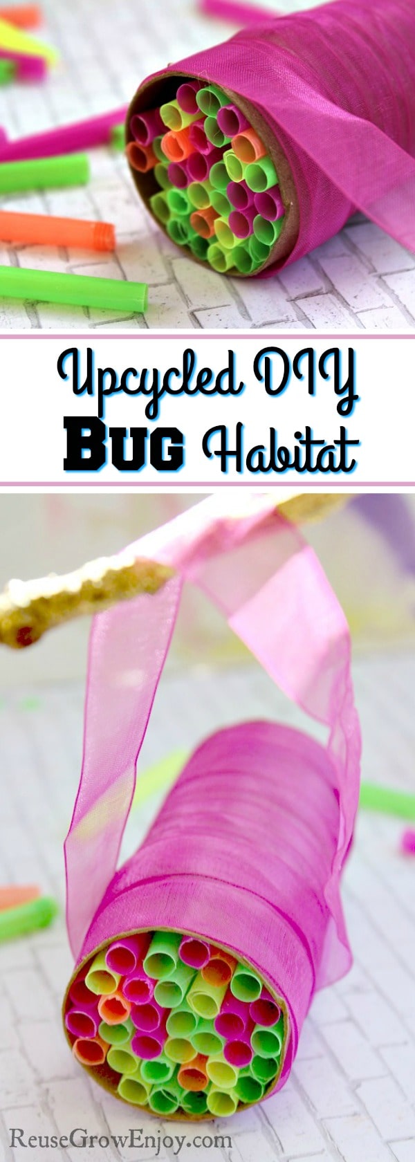 Looking for a fun project to do with the kiddos? Check out this DIY Bug Habitat Made With Upcycled & Reused Items!