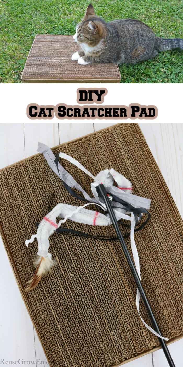 Diy cat scratch store board