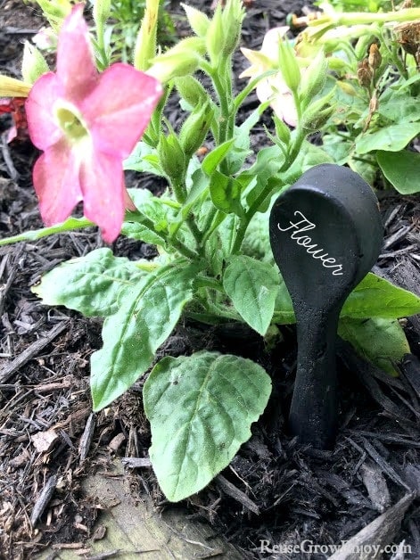 Making your own DIY cement spoon garden markers is easy to do. Not only are they cute, they are handy for marking flowers, herbs, and many other plants!